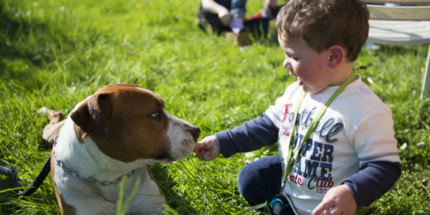 Erhöhtes Atopierisiko durch Hund, Katze und Milbe? allergie.de